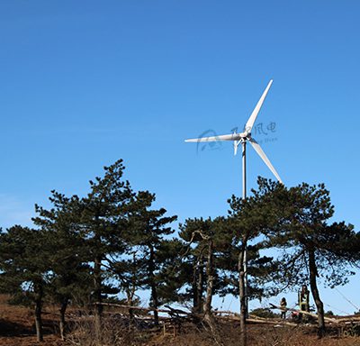 如何选址以优化小型风力发电机效能与安全？