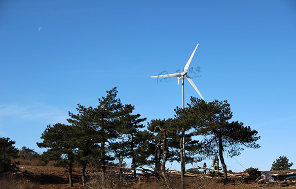 如何选址以优化小型风力发电机效能与安全？